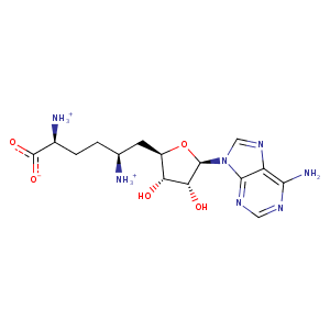 1nw6_1 Structure