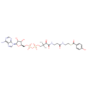 1nzy_1 Structure