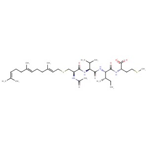 1o1t_1 Structure