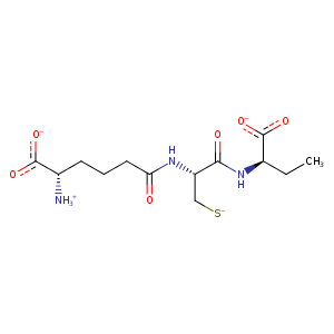 1obn_1 Structure