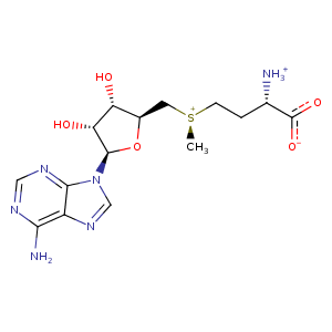 1olt_2 Structure