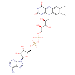 1oqc_4 Structure