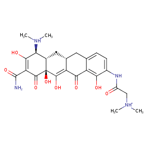 1ork_1 Structure