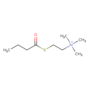 1p0p_1 Structure