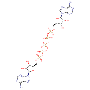1p3j_1 Structure