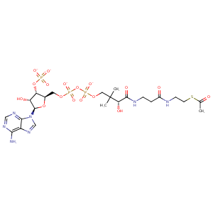 1p7t_1 Structure