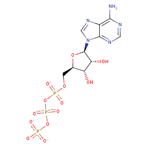 1pk8_1 Structure