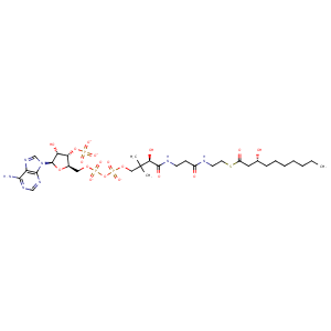 1pn4_3 Structure