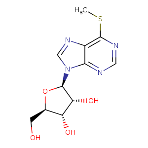 1pr4_3 Structure