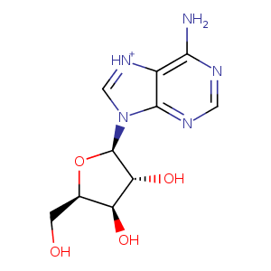 1pr6_3 Structure