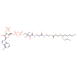 1ps9_1 Structure