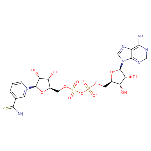 1ptj_1 Structure