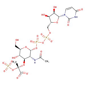 1q3g_5 Structure