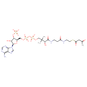 1q51_2 Structure
