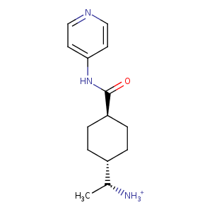 1q8t_1 Structure