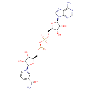 1qlh_1 Structure