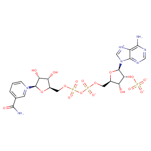 1qp8_1 Structure