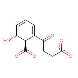 1r6w_1 Structure