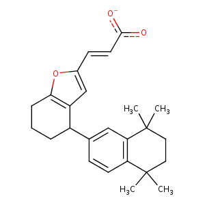 1rdt_1 Structure