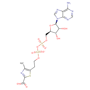 1rp0_1 Structure