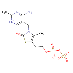 1rp7_1 Structure