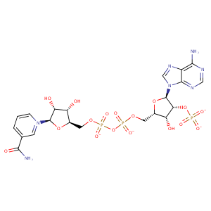 1rpn_1 Structure