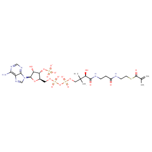 1rx0_1 Structure