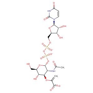 1ryw_5 Structure