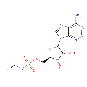 1rzy_1 Structure