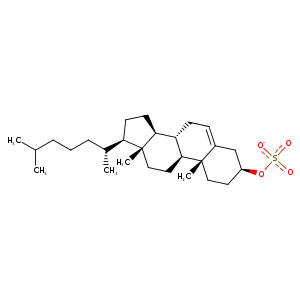 1s0x_1 Structure