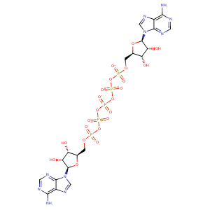 1s3g_1 Structure