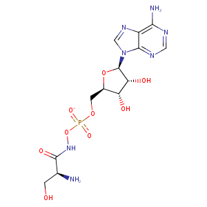 1ses_1 Structure