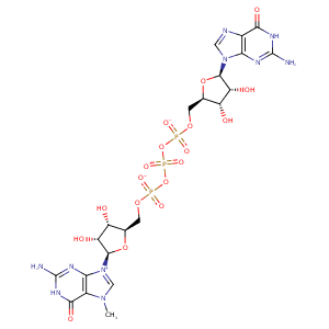 1st0_1 Structure