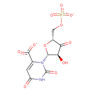 1sto_1 Structure