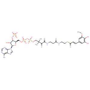 1sui_1 Structure