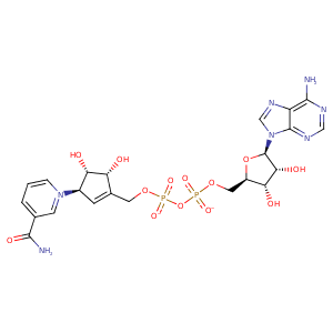 1szc_1 Structure