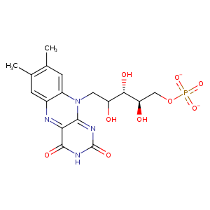 1szf_1 Structure