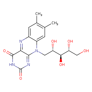1t6z_2 Structure