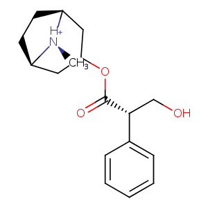 1th6_1 Structure