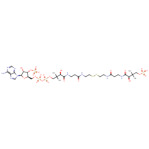 1tiq_1 Structure