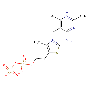 1tkc_1 Structure