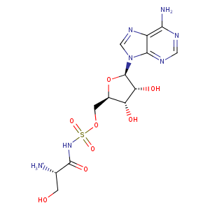 1tkg_1 Structure