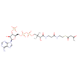 1txt_1 Structure