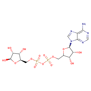 1u2g_1 Structure