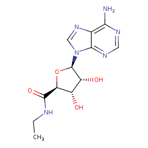 1u2o_1 Structure