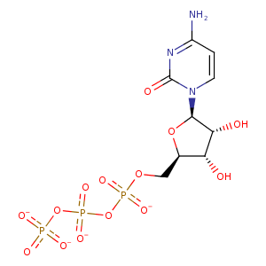 1u7w_1 Structure