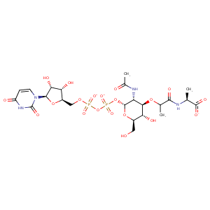 1uag_1 Structure