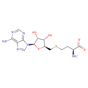 1uam_1 Structure