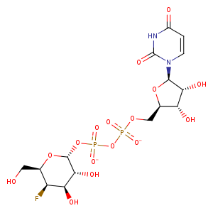 1uda_1 Structure