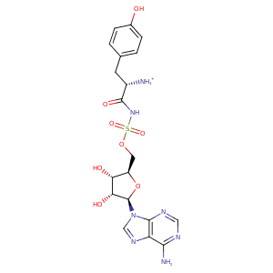 1vbn_1 Structure